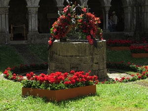 Temps de Flors 2017. Muntatges florals als claustres de la Catedral