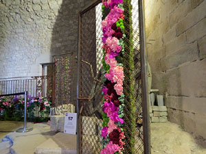 Temps de Flors 2017. Decoracions florals als diversos espais dels Soterranis de la Catedral