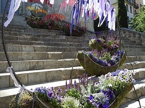 Temps de Flors 2017. Escalinates nord i principal de la basílica de Sant Feliu