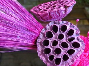Temps de Flors 2017. Muntatges i instal·lacions a La Pabordia