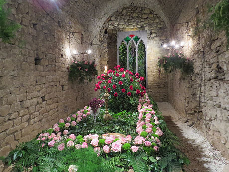 Temps de Flors 2018. Instal·lació floral El cor menjat al soterrani II de la Torre Gironella