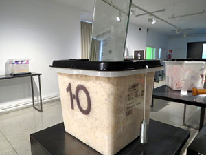 Exposició '55 urnes per la Llibertat' a la Fundació Fita, a la Casa de Cultura de Girona