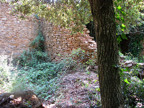 Conjunt de les ruïnes de Can Micaló