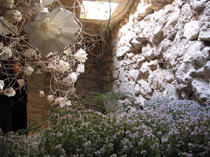 Girona Temps de Flors 2014. La Casa Lleó Avinay