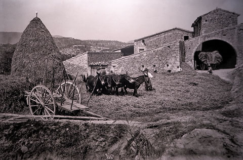 Batuda de blat a l'era de Can Soler de Merlant, Porqueres. 1915-1936