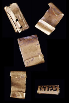 Denes d'or. Neolític final 3500-2200 aC. Dolmen del Solar d'en Gibert