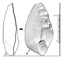 La rascadora, una ascla preparada per a adobar pells, es generalitzà en el Paleolític Mitjà