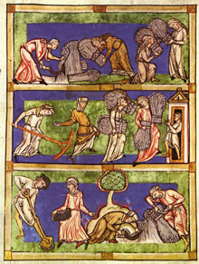 Tasques agrícoles segons una miniatura medieval