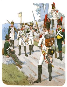 Infanteria de línia i lleugera de l'exèrcit Reial d'Italia. Al setge de Roses, els 13 batallons italians de la divisió Pino formaven una part important de les tropes del general Reille