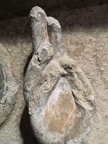 Timpà de l'església de Sant Pol. Segle XII. Detall de la mà de Crist. Original del Museu de Sant Joan de les Abadesses