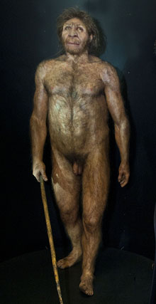 Homo heidelbergensis. Reconstrucció d'un individu
