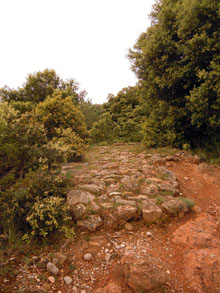 Via romana de Capsacosta