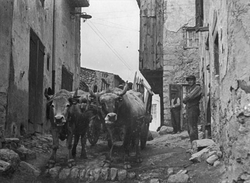 Homes amb bous tirant d'un carro en un carrer de Bellver de Cerdanya. Ca. 1927