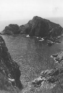 Les illes Medes. 1979