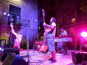 Diada Nacional 2016. Concert del grup Falciots Ninja a la plaça del Vi