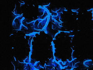 3r Festival Internacional de Mapping de Girona 2016