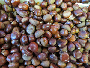 Fires 2016. 55a. edici&oacute; de la Fira de Mostres a Fira de Girona