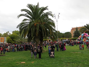 Fires 2016. 35a. Trobada de Gegants de Fires de Sant Narc&iacute;s