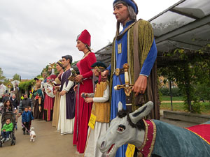 Fires 2016. 35a. Trobada de Gegants de Fires de Sant Narcís