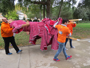 Fires 2016. 35a. Trobada de Gegants de Fires de Sant Narcís