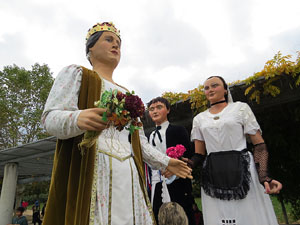 Fires 2016. 35a. Trobada de Gegants de Fires de Sant Narcís