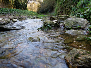 L'itinerari del Galligants. Camí verd que connecta la plaça dels Jurats del Barri Vell amb la font del Bisbe 
