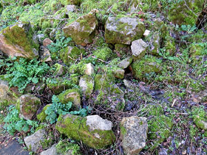L'itinerari del Galligants. Camí verd que connecta la plaça dels Jurats del Barri Vell amb la font del Bisbe 