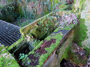 L'itinerari del Galligants. Cam&iacute; verd que connecta la pla&ccedil;a dels Jurats del Barri Vell amb la font del Bisbe 