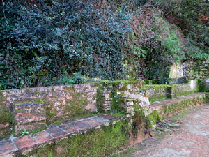 L'itinerari del Galligants. Cam&iacute; verd que connecta la pla&ccedil;a dels Jurats del Barri Vell amb la font del Bisbe 