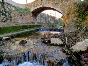 L'itinerari del Galligants. Cam&iacute; verd que connecta la pla&ccedil;a dels Jurats del Barri Vell amb la font del Bisbe 
