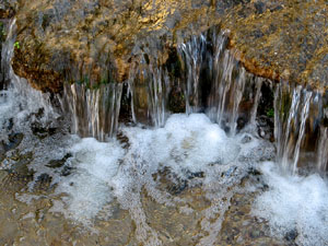 L'itinerari del Galligants. Cam&iacute; verd que connecta la pla&ccedil;a dels Jurats del Barri Vell amb la font del Bisbe 