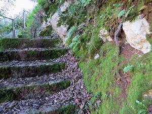 L'itinerari del Galligants. Cam&iacute; verd que connecta la pla&ccedil;a dels Jurats del Barri Vell amb la font del Bisbe 