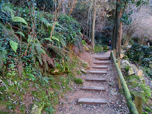 L'itinerari del Galligants. Cam&iacute; verd que connecta la pla&ccedil;a dels Jurats del Barri Vell amb la font del Bisbe 