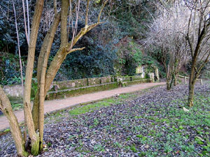 L'itinerari del Galligants. Cam&iacute; verd que connecta la pla&ccedil;a dels Jurats del Barri Vell amb la font del Bisbe 