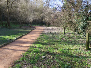 L'itinerari del Galligants. Cam&iacute; verd que connecta la pla&ccedil;a dels Jurats del Barri Vell amb la font del Bisbe 