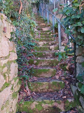 Escala sobre la font del Bisbe. Mitjan&ccedil;ant aquesta escala s'accedeix a la balma