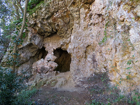 Balma damunt la font del Bisbe