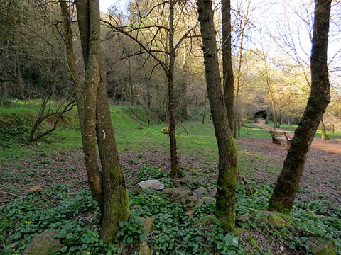 L'itinerari del Galligants