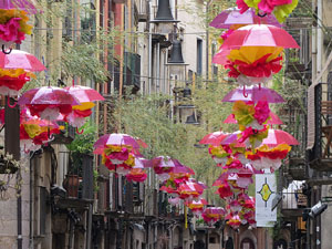 Temps de Flors 2016. Altres espais
