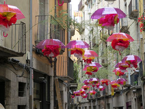 Temps de Flors 2016. Altres espais