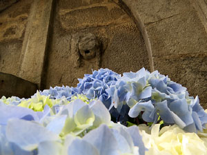 Temps de Flors 2016. Altres espais