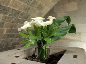 Temps de Flors 2016. Altres espais