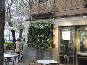 Temps de Flors 2016. Altres espais