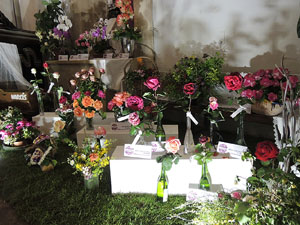 Temps de Flors 2016. Altres espais