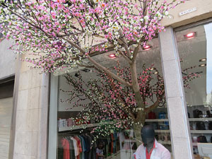 Temps de Flors 2016. Altres espais