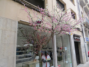 Temps de Flors 2016. Altres espais