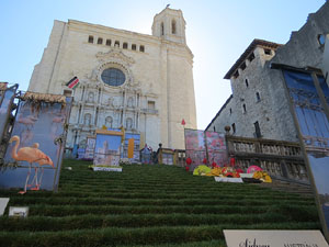Temps de Flors 2016. Escales de la Catedral