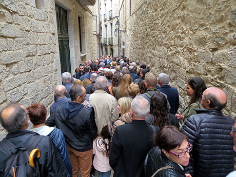 Temps de Flors 2016. Miscel&middot;l&agrave;nia