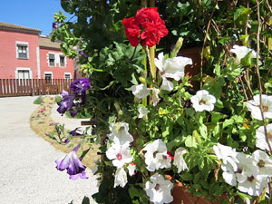 Temps de Flors 2016. La pla&ccedil;a del Pallol