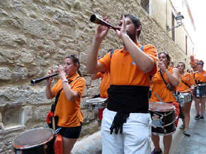 Festival Undàrius 2016. Cercavila amb els gegants de l'Esquerra del Ter i la Caixa de Trons